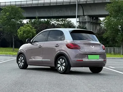 Wuling Bingo