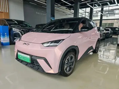 BYD Seagull
