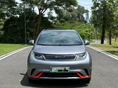 BYD Dolphin