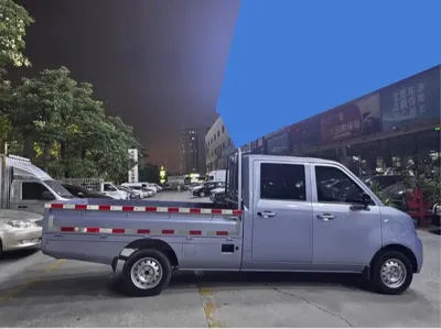 Foton 祥菱Q EV