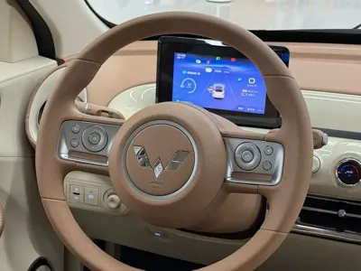 Wuling Bingo