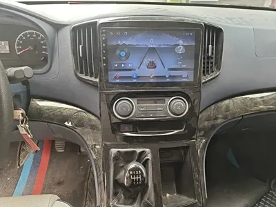 Fengxing Lingzhi PLUS