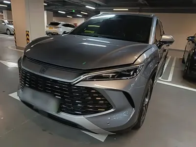 BYD L DM-i