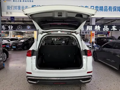 Haval M6
