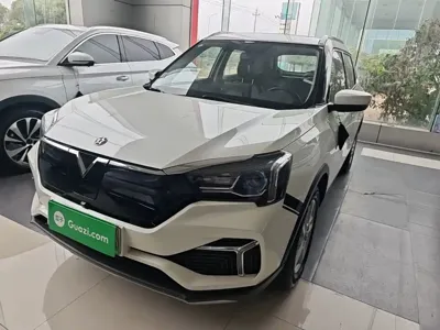 Venucia T60 EV