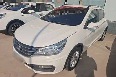 Baojun 310