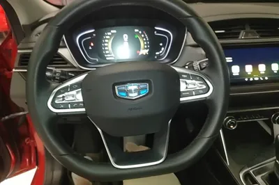 Geely Auto Binray
