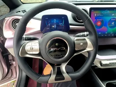 BYD Dolphin