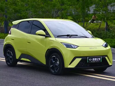 BYD Seagull