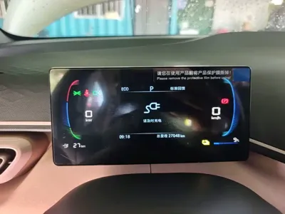 BYD Seagull