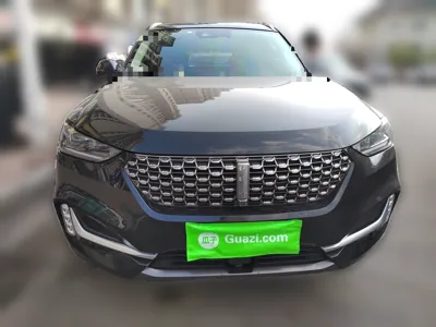 WEY VV6