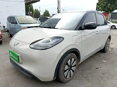 Wuling Bingo