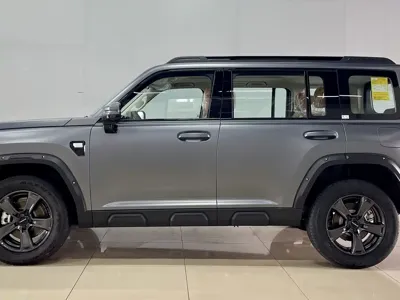 Haval 哈弗猛龙燃油