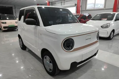 Geely Galaxy Panda
