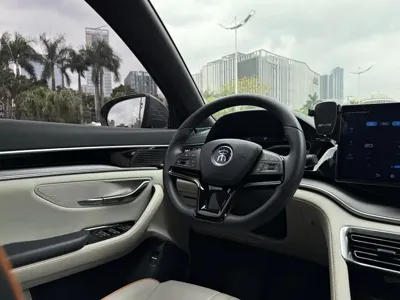 BYD PLUS New Energy