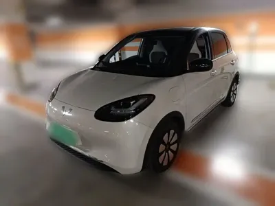 Wuling Bingo