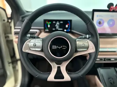 BYD Seagull