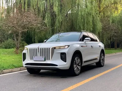 Hongqi Hongqi E-HS9
