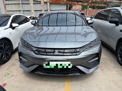 BYD L EV