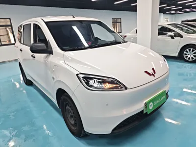Wuling Hongguang New Energy