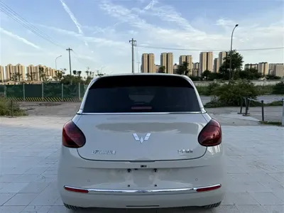 Wuling Bingo