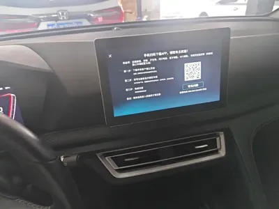 BYD Pro