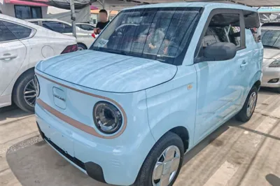 Geely Galaxy Panda