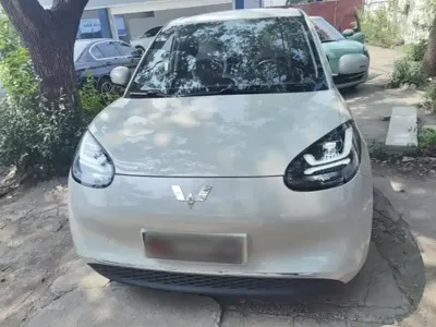 Wuling Bingo