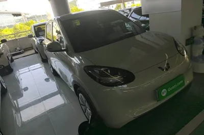 Wuling Bingo