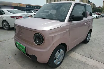 Geely Galaxy Panda