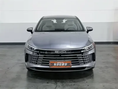 BYD Destroyer 05