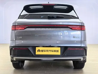 BYD Pro New Energy