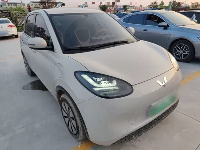 Wuling Bingo