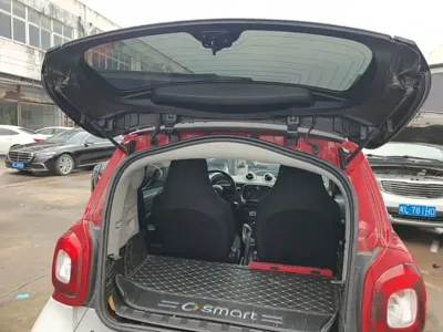 Smart Smart Fortwo