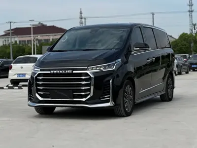大通 G20