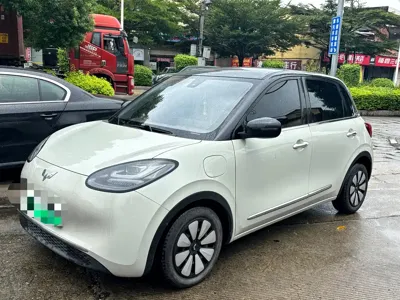 Wuling Bingo