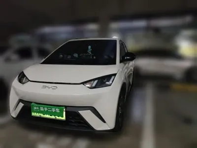 BYD Seagull