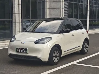 Wuling Bingo