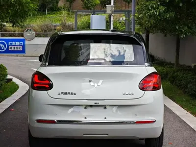 Wuling Bingo
