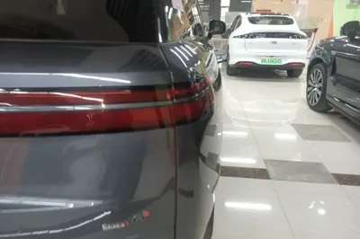 Denza N9