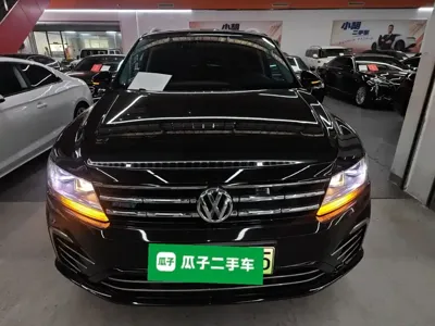 Volkswagen Tiguan L New Energy