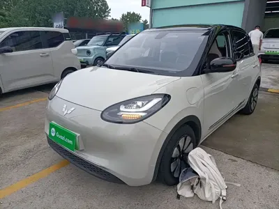 Wuling Bingo