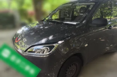 Wuling Hongguang New Energy