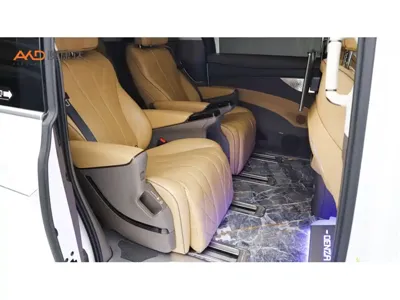 Denza Denza D9