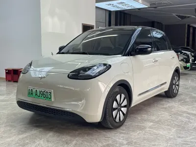 Wuling Bingo