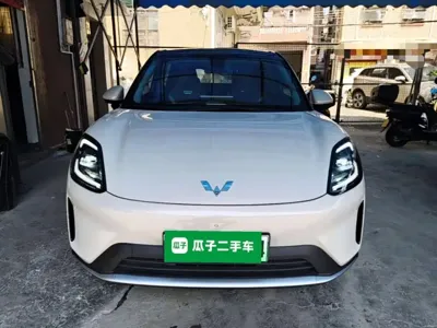 Wuling 缤果S