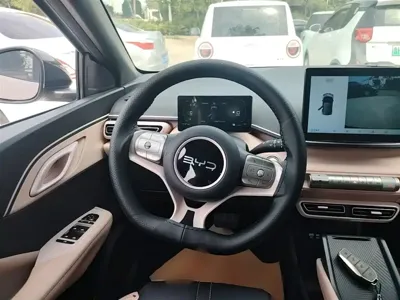 BYD Seagull