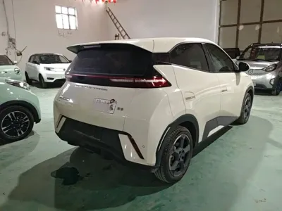 BYD Seagull