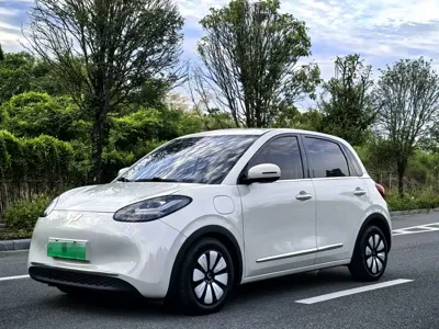 Wuling Bingo
