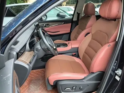 Skyworth EV6